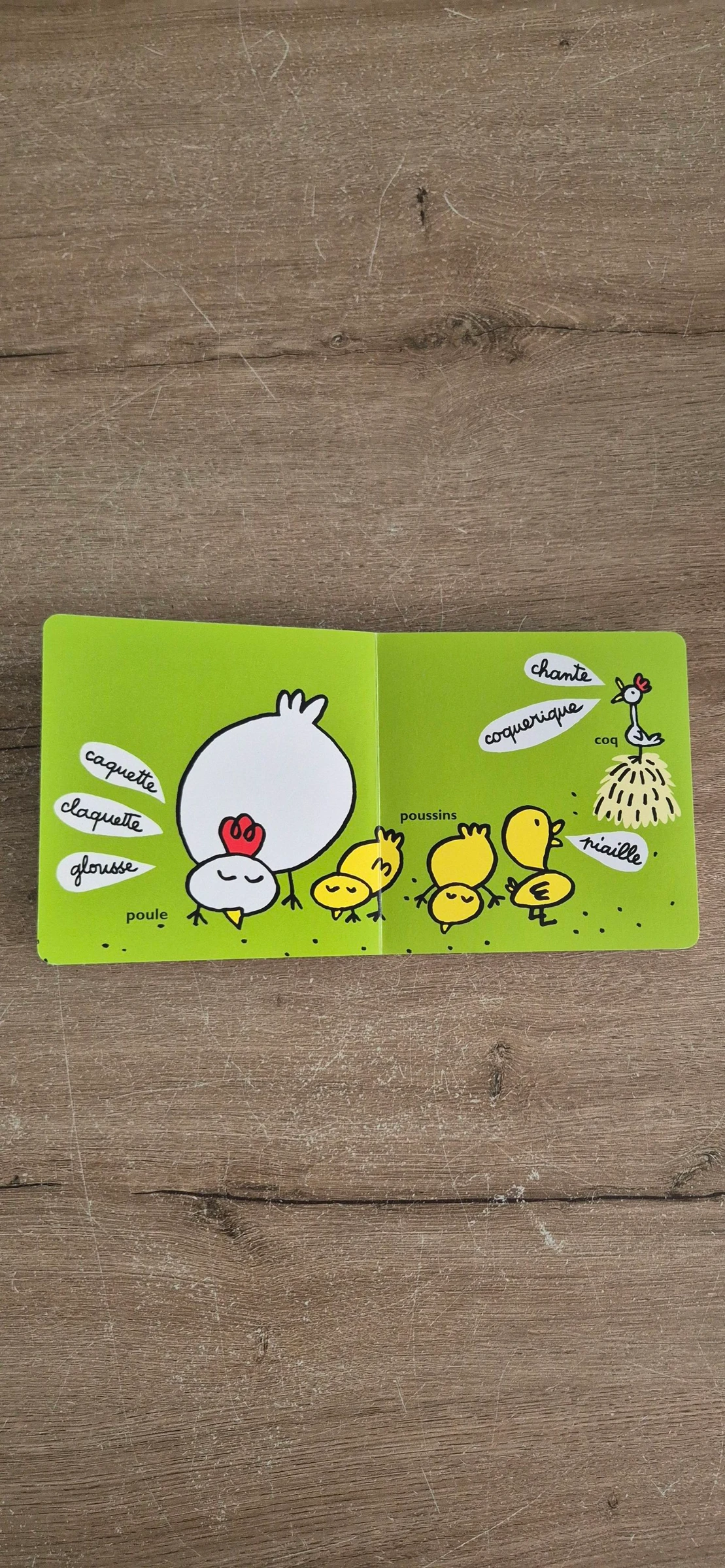 O livro dos gritos – photo 10